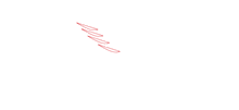 Hawk Security Solutions Logo